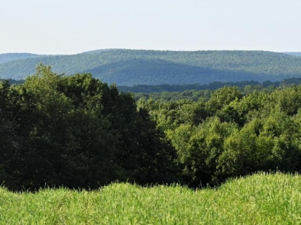 Site Visit Image